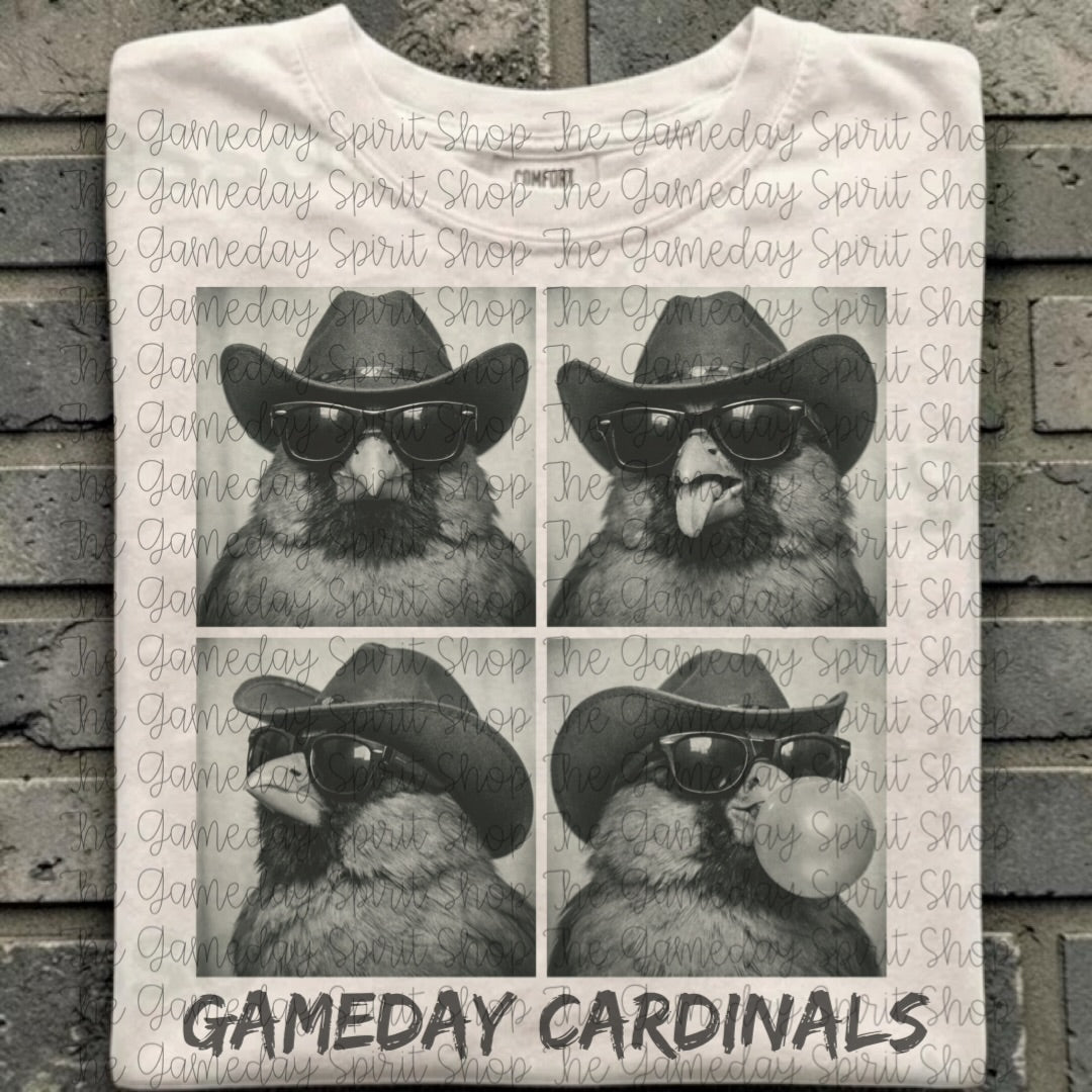 Photo Booth Cardinals