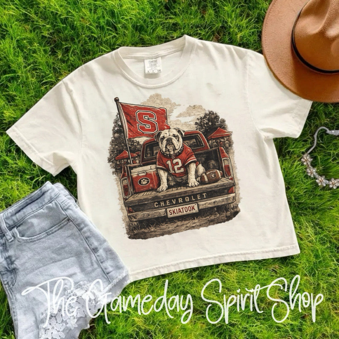 Tailgate Club CUSTOM Mascot Boxy Crop (2 Colors)