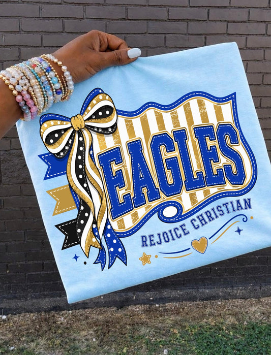 Eagles Stripe Pennant (3 shirt styles)