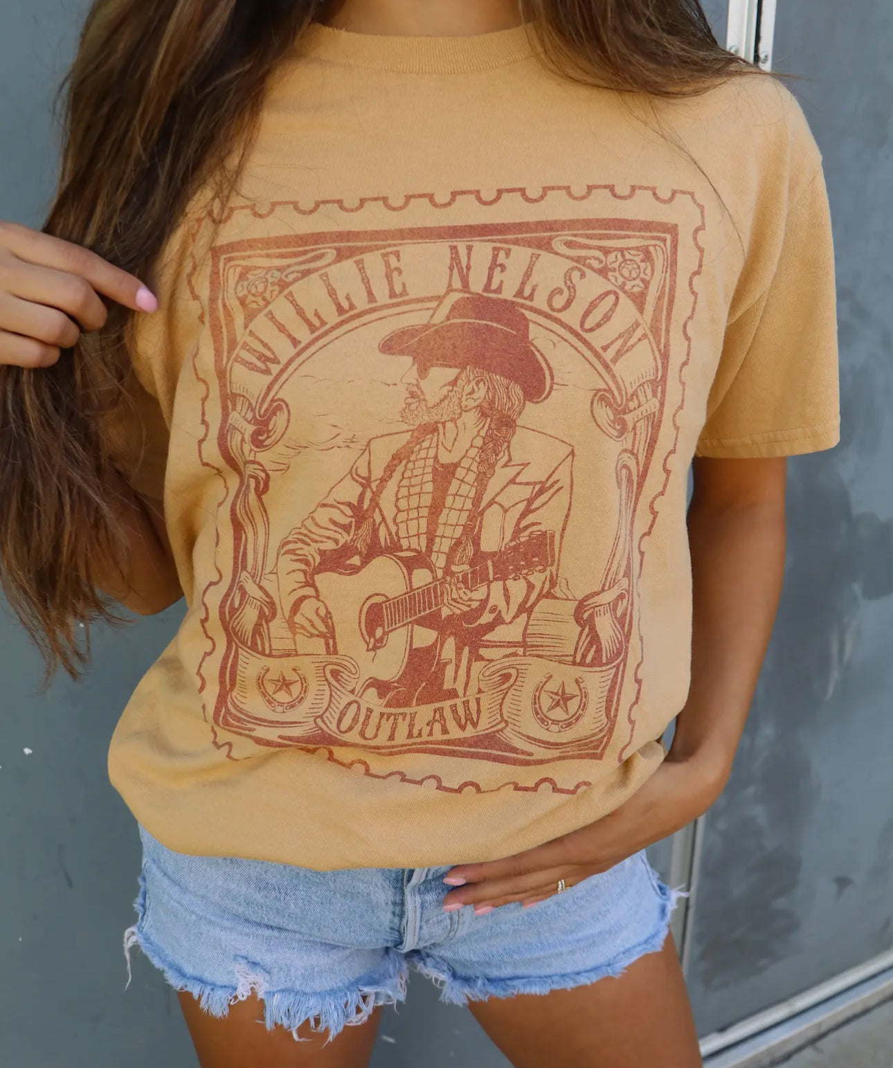 Willie Nelson Outlaw