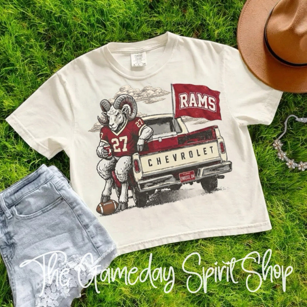 Owasso Tailgate Club Boxy Crop (2 Colors)