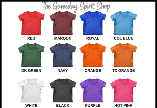 Custom Adult Jersey 2 COLOR